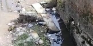 बलरामपुर के अलाउद्दीनपुर में नालियां बजबजा रहीं, सफाई व्यवस्था बदहाल:ग्रामीण परेशान, संक्रामक बीमारियों का खतरा बढ़ा