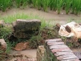 अचरौरा में सरकारी नलकूप की हौदी टूटी:किसानों को सिंचाई में परेशानी, पानी बर्बाद हो रहा; मरम्मत की मांग