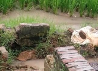 अचरौरा में सरकारी नलकूप की हौदी टूटी:किसानों को सिंचाई में परेशानी, पानी बर्बाद हो रहा; मरम्मत की मांग
