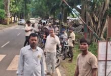 आंधी-तूफान से ठप गांवों की बिजली चार दिन बाद लौटी:खंभे और लाइनें क्षतिग्रस्त होने से ठप थी आपूर्ति, कर्मियों ने दिन-रात जुटकर बहाल की