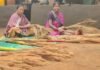 अबुझमाड़ की नई सुबह: जब जंगलों की छांव से निकलकर स्वावलंबन की मिसाल बनीं नारायणपुर की महिलाएं News Desk