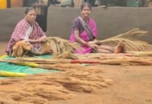 अबुझमाड़ की नई सुबह: जब जंगलों की छांव से निकलकर स्वावलंबन की मिसाल बनीं नारायणपुर की महिलाएं News Desk
