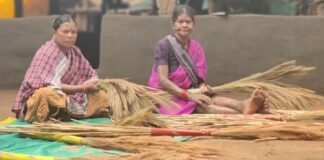 अबुझमाड़ की नई सुबह: जब जंगलों की छांव से निकलकर स्वावलंबन की मिसाल बनीं नारायणपुर की महिलाएं News Desk