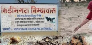 श्राद्ध पक्ष में चींटियों को क्यों खिलाया जाता है दाना? जानें कीड़ी-नगरा से परंपरा