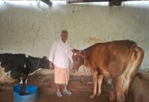 पीएम किसान सम्मान निधि की बचत से खरीदी पहली गाय, आज 10 गायों के साथ आत्मनिर्भर बने 75 वर्षीय परशुराम गुप्ता News Desk