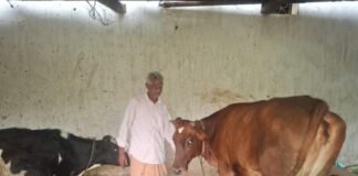 पीएम किसान सम्मान निधि की बचत से खरीदी पहली गाय, आज 10 गायों के साथ आत्मनिर्भर बने 75 वर्षीय परशुराम गुप्ता News Desk
