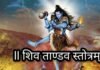 शिवतांडव स्तोत्र से मिलती है सिद्धि News Desk
