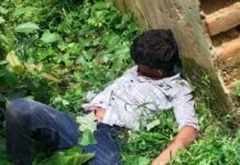 रहमतपुर में युवक का शव मिला:गोंडा निवासी प्रमोद की पहचान, पुलिस जांच में जुटी
