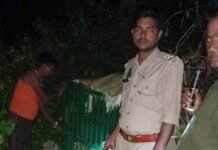 रामनगरा में तेंदुए को पकड़ने पिंजरे में बांधा बकरा:आहट से गांवों में सतर्कता बढ़ी, वन विभाग ने निगरानी तेज की