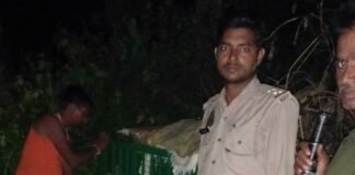 रामनगरा में तेंदुए को पकड़ने पिंजरे में बांधा बकरा:आहट से गांवों में सतर्कता बढ़ी, वन विभाग ने निगरानी तेज की
