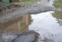 खेम पिपरा में उपेंद्र के घर के पास सड़क पर:राहगीरों और स्थानीय लोगों को परेशानी, मच्छरों से बीमारियों का खतरा