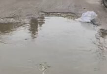 बारिश में सड़क बनी तालाब, गड्ढे से आवागमन में परेशानी:सहतूजोत बाजार से गौर, नहर समेत कई गांवों को जोड़ने वाले मार्ग पर राहगीर परेशान