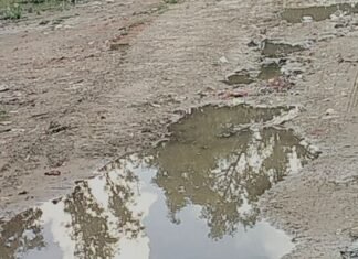 उतरौला में काशी राम कॉलोनी संपर्क मार्ग जर्जर:बारिश में गड्ढों में पानी भरने से दुर्घटना का खतरा, चेयरमैन प्रतिनिधि ने जल्द मरम्मत का दिया आश्वासन