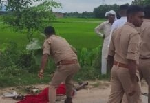 दही बेचकर लौट रहे बुद्धराम को अज्ञात वाहन ने रौंदा:ठूठीबारी/ भरवलिया में 60 वर्षीय बुद्धराम की मौत, चंदन नदी पुल के पास हुआ हादसा