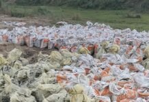 सिसवारा घाट के पास राप्ती नदी का कटान तेज:काम कर रहे मजदूरों को 8 की जगह 5 रुपये प्रति बोरी मिल रहे