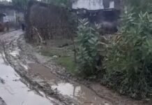 श्रावस्ती के कथरा माफी में नाली ऊंची, सड़क नीची:विकास कार्यों में लापरवाही से ग्रामीण परेशान, बच्चों को स्कूल जाने में दिक्कत