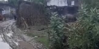 श्रावस्ती के कथरा माफी में नाली ऊंची, सड़क नीची:विकास कार्यों में लापरवाही से ग्रामीण परेशान, बच्चों को स्कूल जाने में दिक्कत