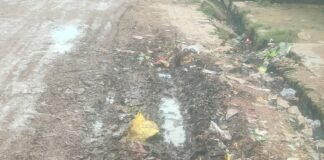 नासिरगंज के मुख्य मार्ग पर कचरे का अंबार:सफाई कर्मी नदारद, राहगीर और दुकानदार परेशान; बीमारी का खतरा बढ़ा