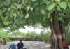 तुलसीपुर का प्राचीन पिंडदान स्थल बदहाल:गंदगी और जलभराव से श्रद्धालु परेशान, जीर्णोद्धार कराने की मांग