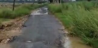 आईटीआई को जोड़ने वाली सड़क जर्जर:बड़े गड्ढों से राहगीरों को परेशानी, एंबुलेंस भी नहीं पहुंच पाती; चुनाव में नेता करते हैं वादे।