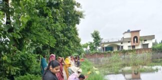दुबौलिया में बेटों की लंबी उम्र के लिए ललही छठ:बस्ती में माताओं ने कुश की पूजा कर मांगी सुख-समृद्धि