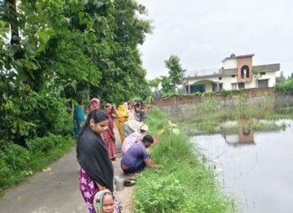 दुबौलिया में बेटों की लंबी उम्र के लिए ललही छठ:बस्ती में माताओं ने कुश की पूजा कर मांगी सुख-समृद्धि