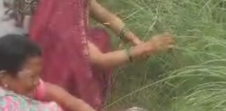 संतान की लंबी उम्र के लिए महिलाओं ने रखा व्रत:अलाउद्दीनपुर में श्रद्धा और आस्था के साथ मनाया गया पर्व