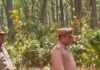 नौतनवां के चकदह गांव में तेंदुआ दिखने की सूचना:वन विभाग अलर्ट, टीम कर रही गश्त; लोगों से सावधानी बरतने की अपील