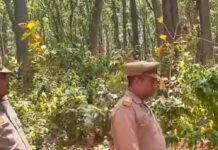 नौतनवां के चकदह गांव में तेंदुआ दिखने की सूचना:वन विभाग अलर्ट, टीम कर रही गश्त; लोगों से सावधानी बरतने की अपील
