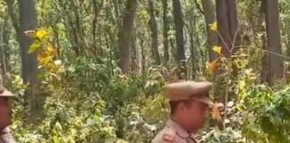 नौतनवां के चकदह गांव में तेंदुआ दिखने की सूचना:वन विभाग अलर्ट, टीम कर रही गश्त; लोगों से सावधानी बरतने की अपील