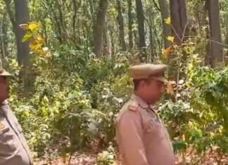 नौतनवां के चकदह गांव में तेंदुआ दिखने की सूचना:वन विभाग अलर्ट, टीम कर रही गश्त; लोगों से सावधानी बरतने की अपील