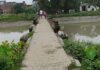 देवरिया नहर के पुल की दोनों तरफ रेलिंग टूटी:दो साल पहले पुल से गिरकर हुई थी युवक की मौत, 5 दशक पुराने पुल की छत भी दरकी
