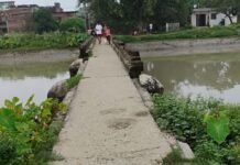 देवरिया नहर के पुल की दोनों तरफ रेलिंग टूटी:दो साल पहले पुल से गिरकर हुई थी युवक की मौत, 5 दशक पुराने पुल की छत भी दरकी