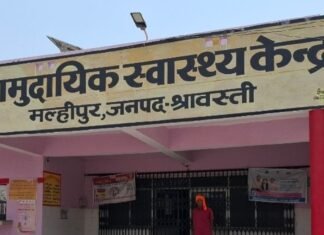 मल्हीपुर में ई-रिक्शा की टक्कर से महिला घायल:भतीजे के साथ घर लौट रही थी, अस्पताल में भर्ती