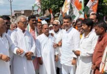 महराजगंज में फरेंदा पहुंचे कांग्रेस के नवनिर्वाचित सचिव:कार्यकर्ताओं ने किया जोरदार स्वागत: जिला अध्यक्ष बोले- नई जिम्मेदारी से संगठन को मिलेगी नई ऊर्जा और दिशा