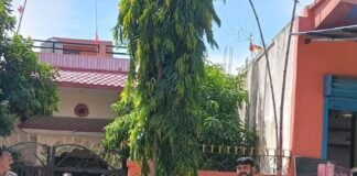भगवानपुर में बिजली विभाग की ताबड़तोड़ चेकिंग:घरों-दुकानों से ट्यूबवेल तक खंगाले कनेक्शन, चोरी या अवैध कनेक्शन नहीं मिला