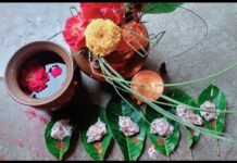 Hal Shashti Vrat 2026 | Mothers Worship Lord Balram For Child Health