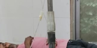 मोबाइल चार्ज करते समय कोबरा ने डसा:बजाही के युवक की हालत नाजुक, महराजगंज अस्पताल में भर्ती