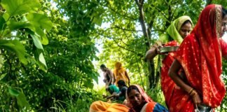 गोपियापार में हलछठ पर महिलाओं ने बच्चों के लिए पूजन:भगवान बलराम की जयंती पर व्रत रखा, परिवार की सुख-शांति और समृद्धि मांगी