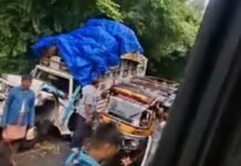कैसरगंज में पेड़ गिरने से रोडवेज बस-पिकअप में टक्कर:वन-वे यातायात के दौरान हुआ हादसा, पिकअप क्षतिग्रस्त, कोई घायल नहीं