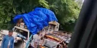 कैसरगंज में पेड़ गिरने से रोडवेज बस-पिकअप में टक्कर:वन-वे यातायात के दौरान हुआ हादसा, पिकअप क्षतिग्रस्त, कोई घायल नहीं