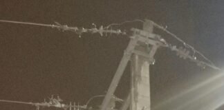 नानपारा में पेड़ गिरने से 11 केवी लाइन में फाल्ट:रेलवे स्टेशन सहित कई इलाकों की बिजली गुल, सुबह तक बहाली की उम्मीद
