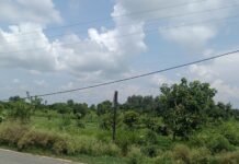 Khaira Tulsipur LT Line Accident Risk
