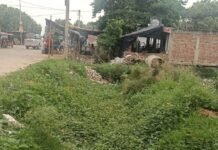 रेहरा तुलसीपुर बंधा में पानी, फिर भी नहर सूखी:लंबे समय से सफाई न होने से सिंचाई में बाधा, हजारों किसान परेशान