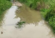 बिशेश्वरगंज में खड़ंजा मार्ग पानी में डूबा:ग्रामीणों और स्कूली बच्चों को आने-जाने में हो रही भारी परेशानी