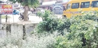 पुरैना ड्रेन में झाड़-झंखाड़ से पानी का बहाव रुका:सैकड़ों एकड़ खेतों की सिंचाई प्रभावित, किसान परेशान