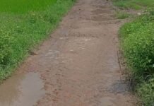 देवरिया इनायत का मुख्य मार्ग गड्ढों में बदला:500 मीटर सड़क पर गहरे गड्ढे, बारिश में जलभराव से परेशानी बढ़ी
