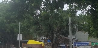 जमुनहा-बहराइच राजमार्ग पर आवारा मवेशियों का जमावड़ा:वाहन चालकों को परेशानी, अचानक ब्रेक लगाने से दुर्घटना की आशंका