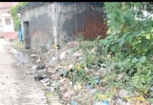 विशनपुर गबडुआ में गंदगी का अंबार:नालियों का गंदा पानी सड़कों पर बह रहा, ग्रामीणों ने सफाई की मांग की