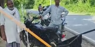 चाय की दुकान से जहरीला फुरसा सांप रेस्क्यू:जरवा में पकड़ा गया, आरक्षित वन क्षेत्र में छोड़ा; 4 दिन पहले सांप काटने से हुई थी मौत